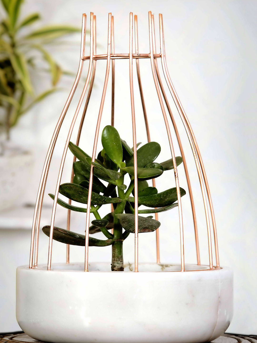 POSH-N-PLUSH White Marble With Copper Web Planter
