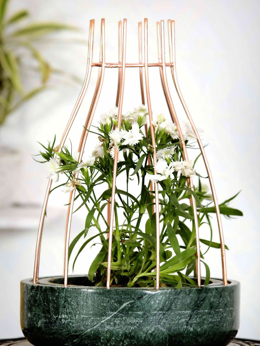 POSH-N-PLUSH Green Metal Web Planter