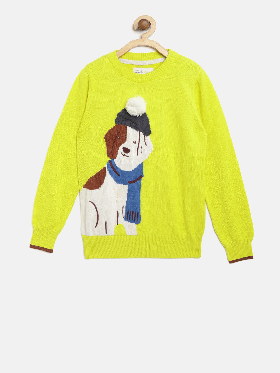 Cherry Crumble Unisex Kids Yellow Animal Graphics Solid Pullover Sweater