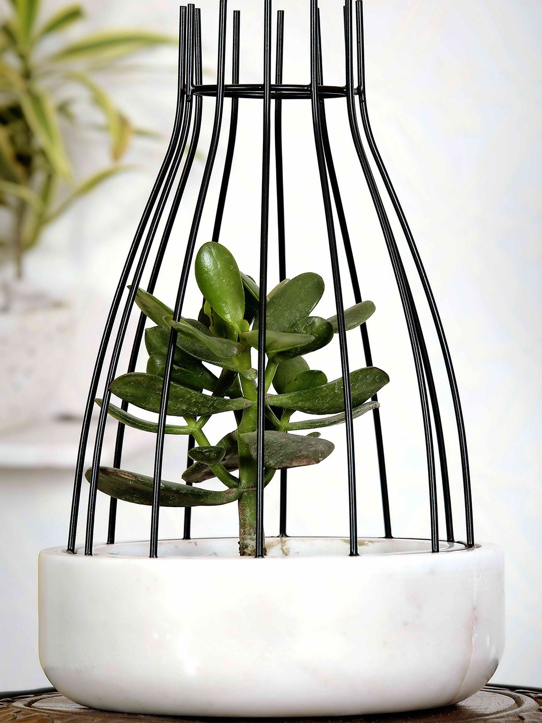 POSH-N-PLUSH White Warble with Black Metal Web Planter