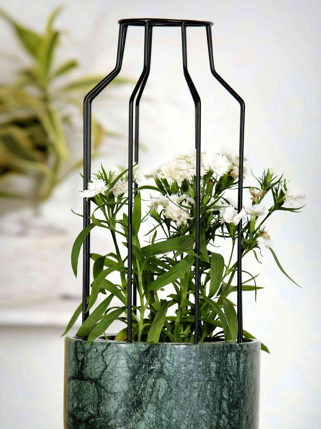 POSH-N-PLUSH Green & Black Marble With Metal Mesh Planter
