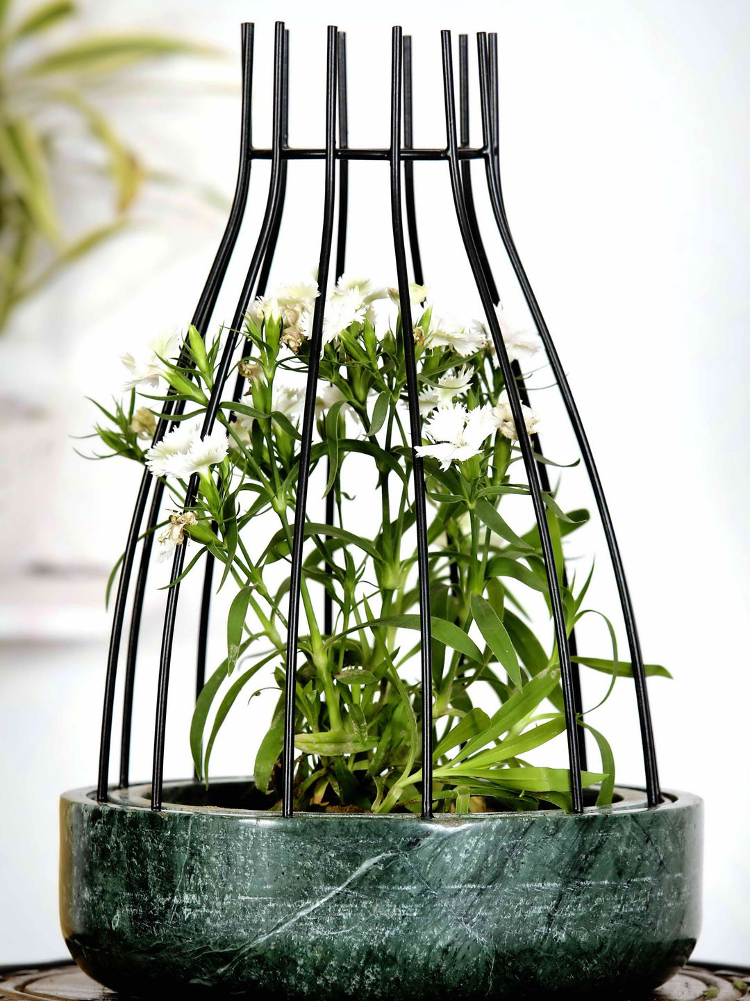 POSH-N-PLUSH Green Marble with Black Metal Web Planter