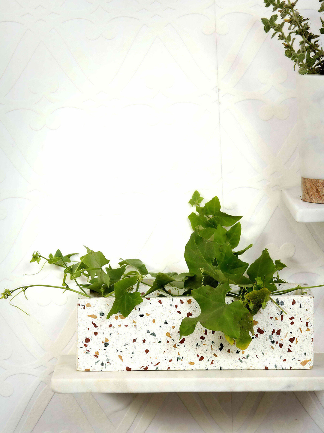 POSH-N-PLUSH White Rectangle Terrazzo Planter