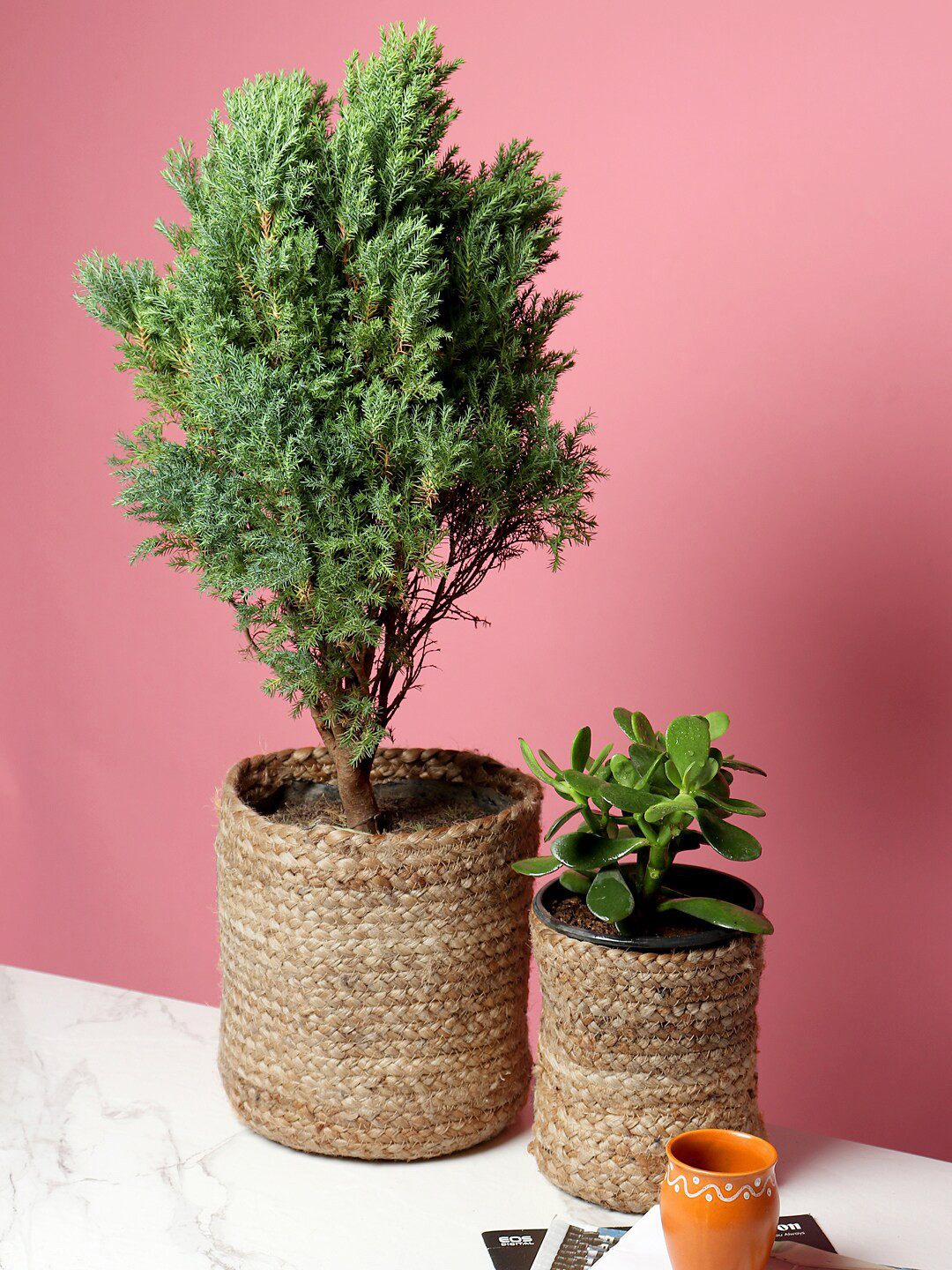 HABERE INDIA Set Of 2 Beige Woven Design Sustainable Planters