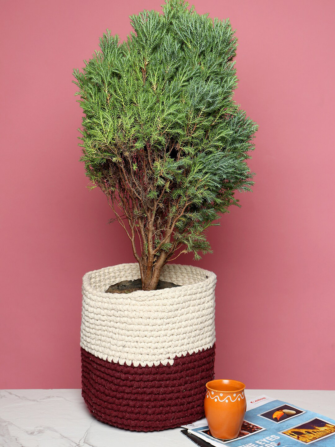 HABERE INDIA Unisex Wine & Off White Cotton Rope Planter