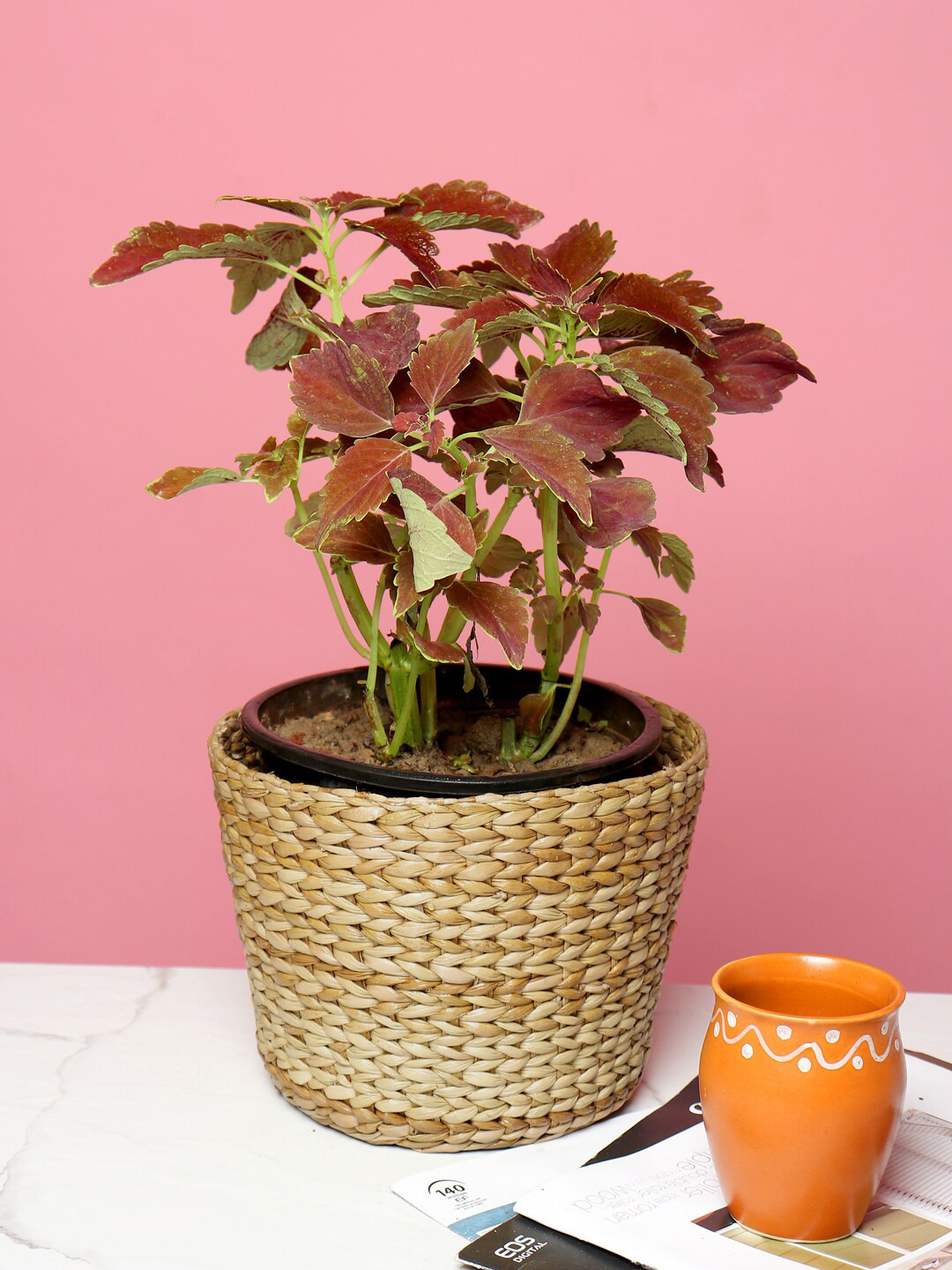 HABERE INDIA Beige Handwoven Kouna Grass Sustainable Planter