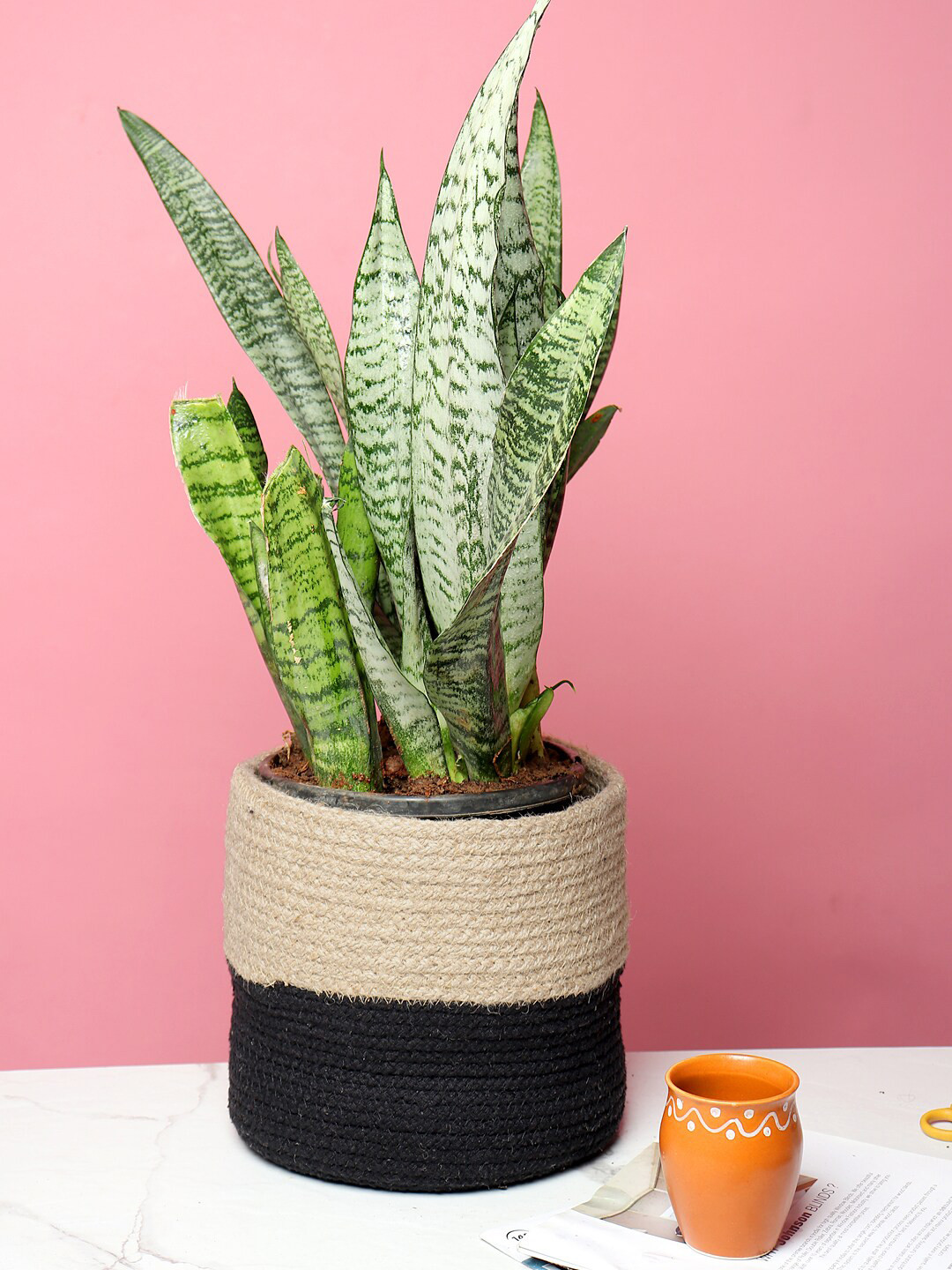 HABERE INDIA Black & Beige Colourblocked Handwoven Sustainable Planter