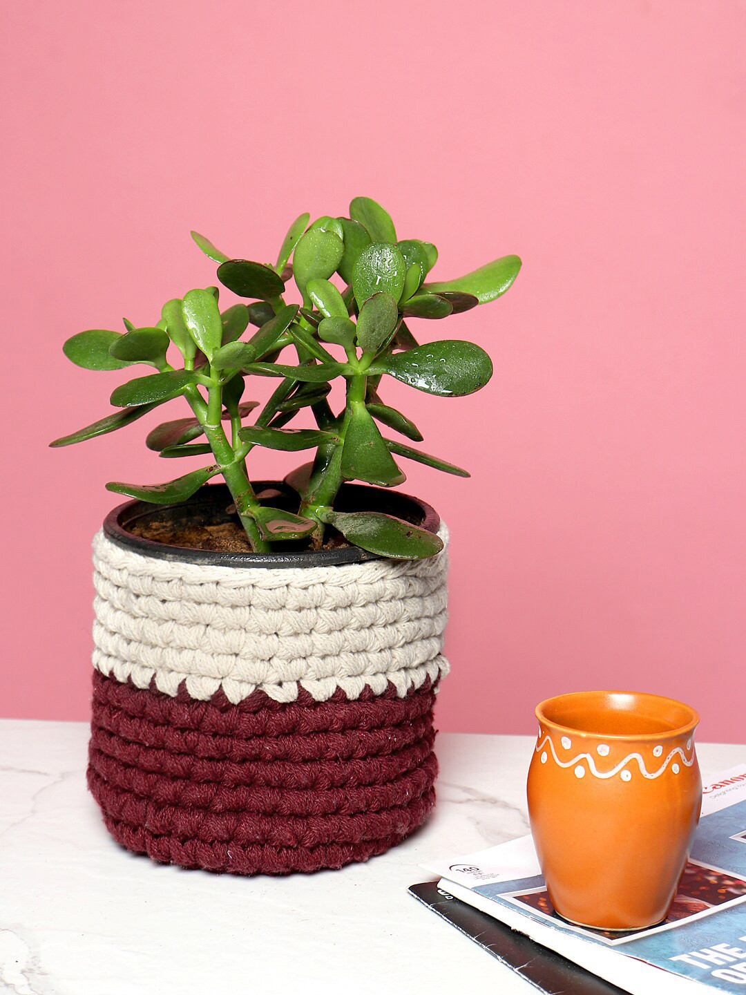 HABERE INDIA Off White & Red Colourblocked Cotton Rope Planters