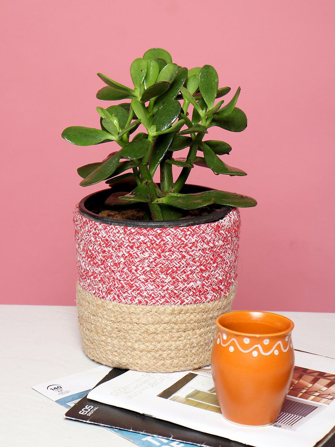 HABERE INDIA Red & Beige Handmade Sustainable Planter Cover