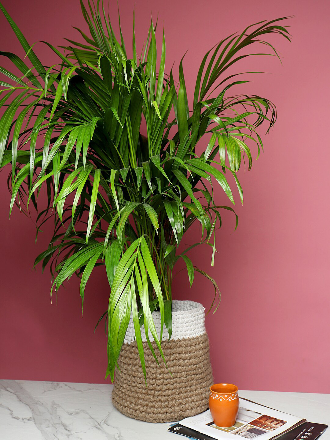 HABERE INDIA Beige & White Crochet Handmade Sustainable Planter