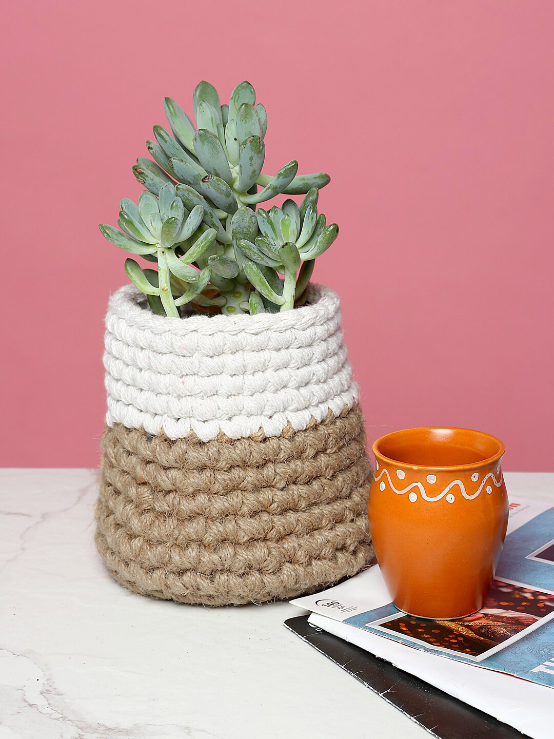 HABERE INDIA White & Brown Woven-Design Sustainable Planter