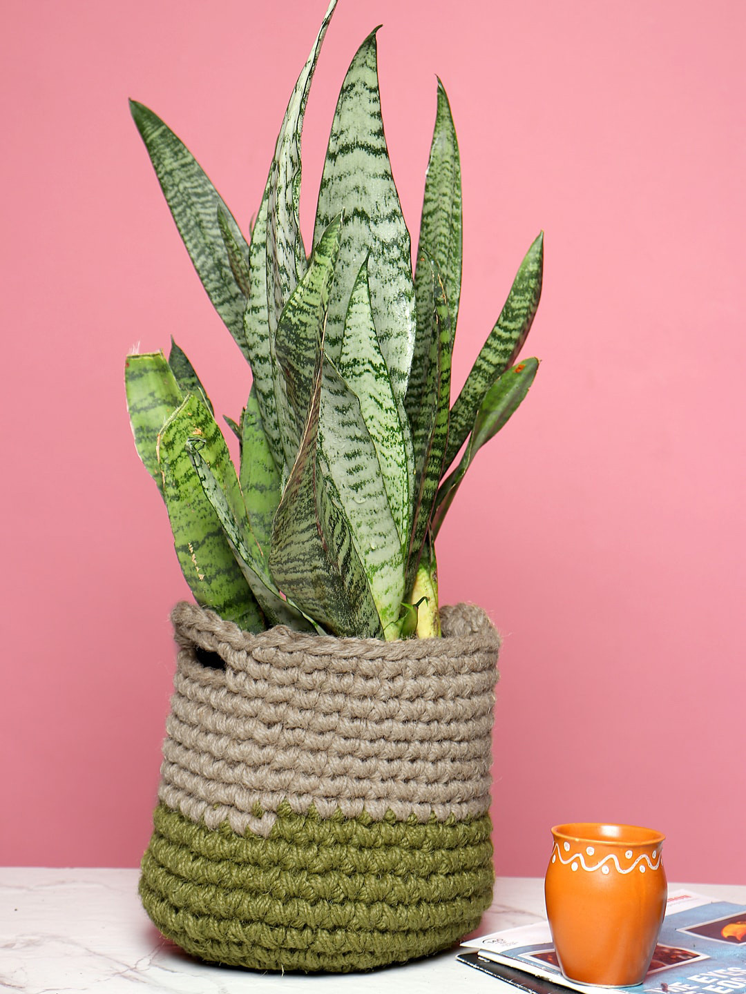 HABERE INDIA Olive & Beige Sustainable Jute Planter Cover