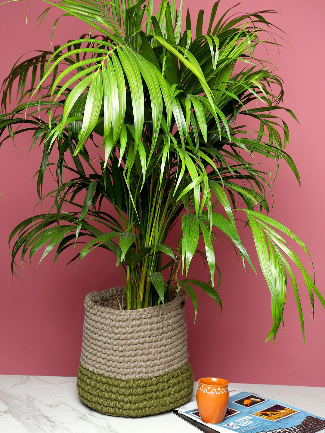 HABERE INDIA Olive Green & Beige Handcrafted Planter