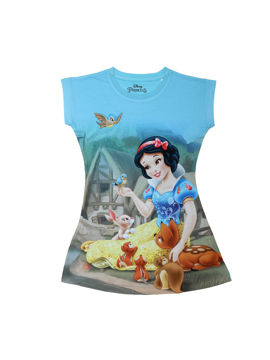 Disney Princess Girls Blue Printed A-Line Dress