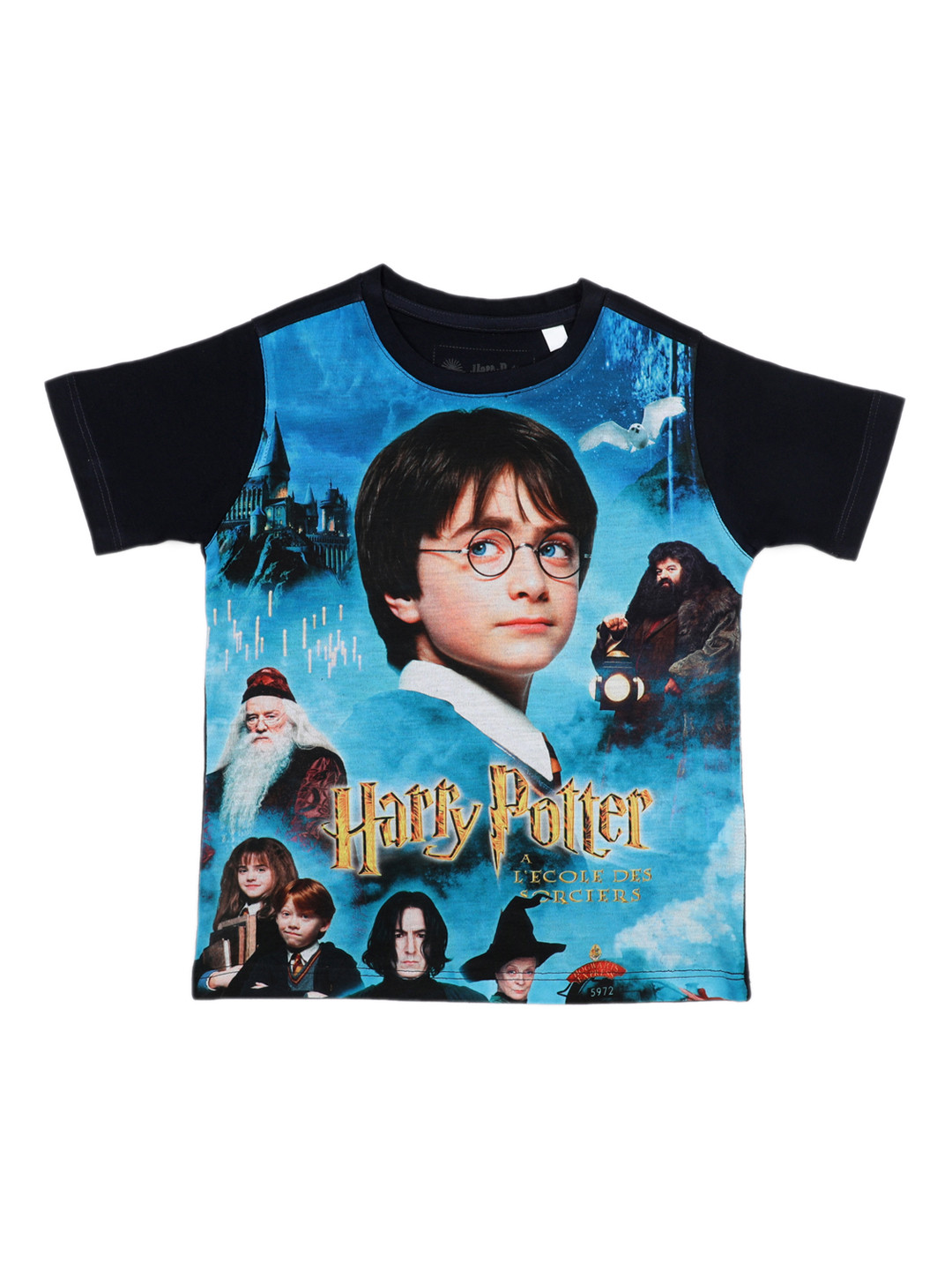 Harry Potter Boys Blue Printed Round Neck T-shirt