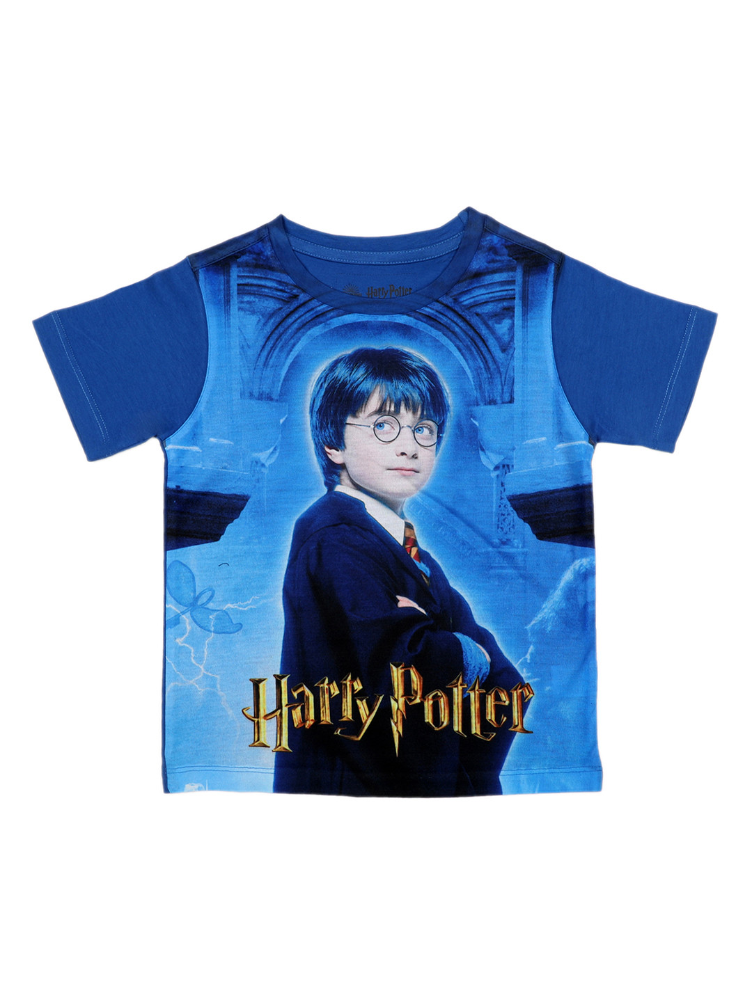 Harry Potter Boys Blue Harry Potter Printed Round Neck T-shirt