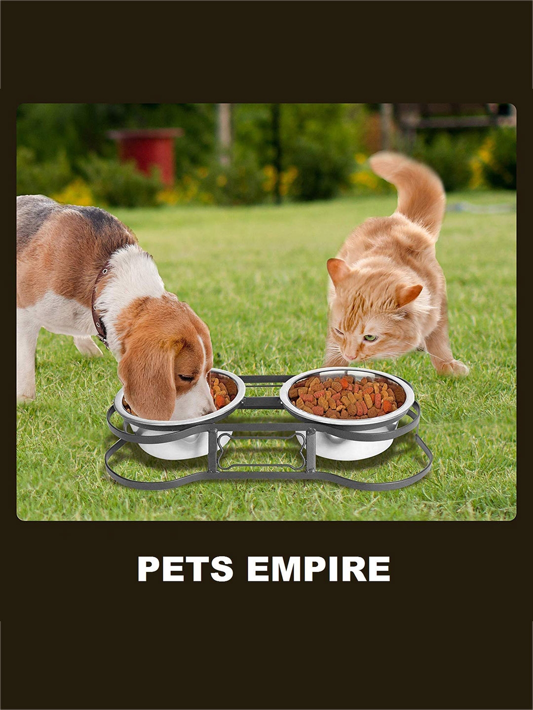 PETS EMPIRE Set Of 2 Stainless Steel Elevated Pet Bowl