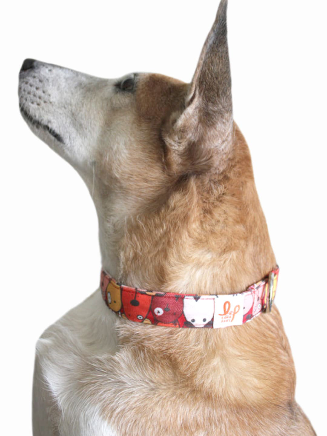 LANA PAWS Red Printed Canvas Sturdy Dog Collar