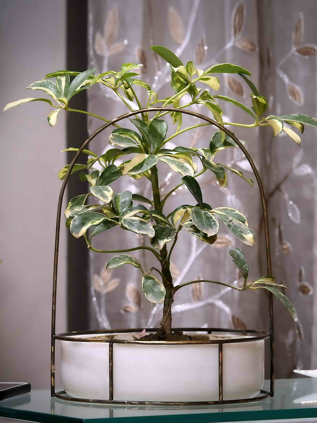 POSH-N-PLUSH White & Gold-Toned Marble With Brass Antique Trellis Planter