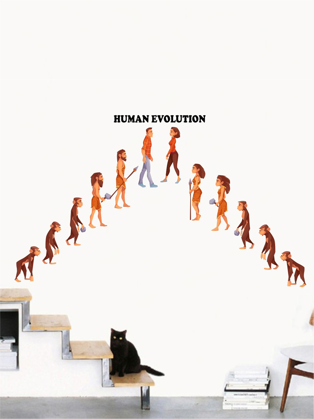 rawpockets Multicoloured Human Evolution Wall Stickers