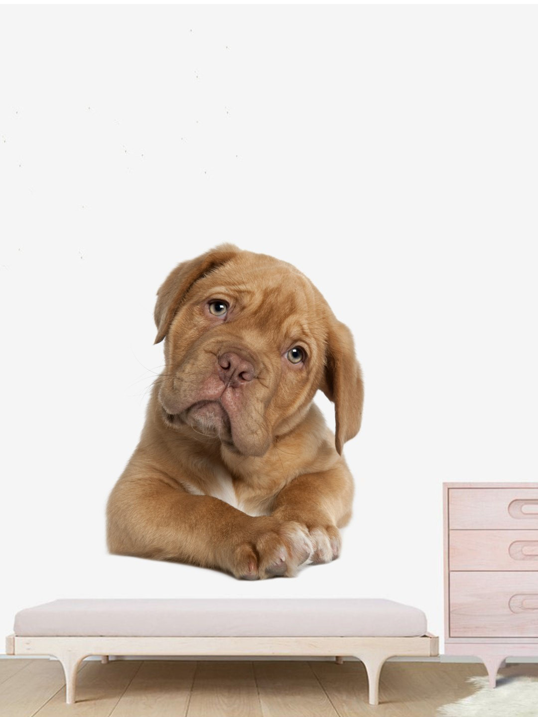 rawpockets Brown & Beige Cute Dog Pose Wall Sticker
