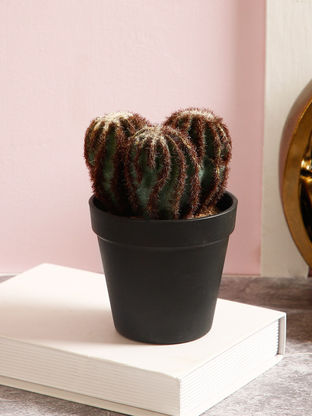 TAYHAA Green & Brown Artificial Cactus Plant With Pot