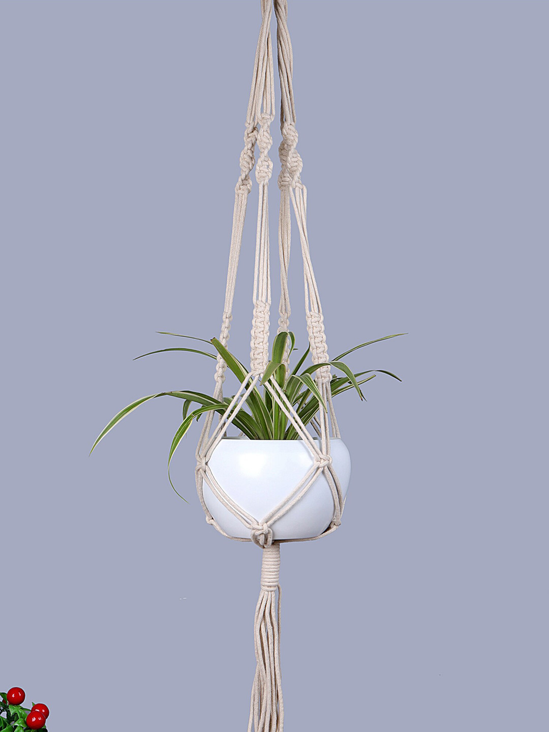 Homesake Set Of 2 White Macrame Planters With Pot