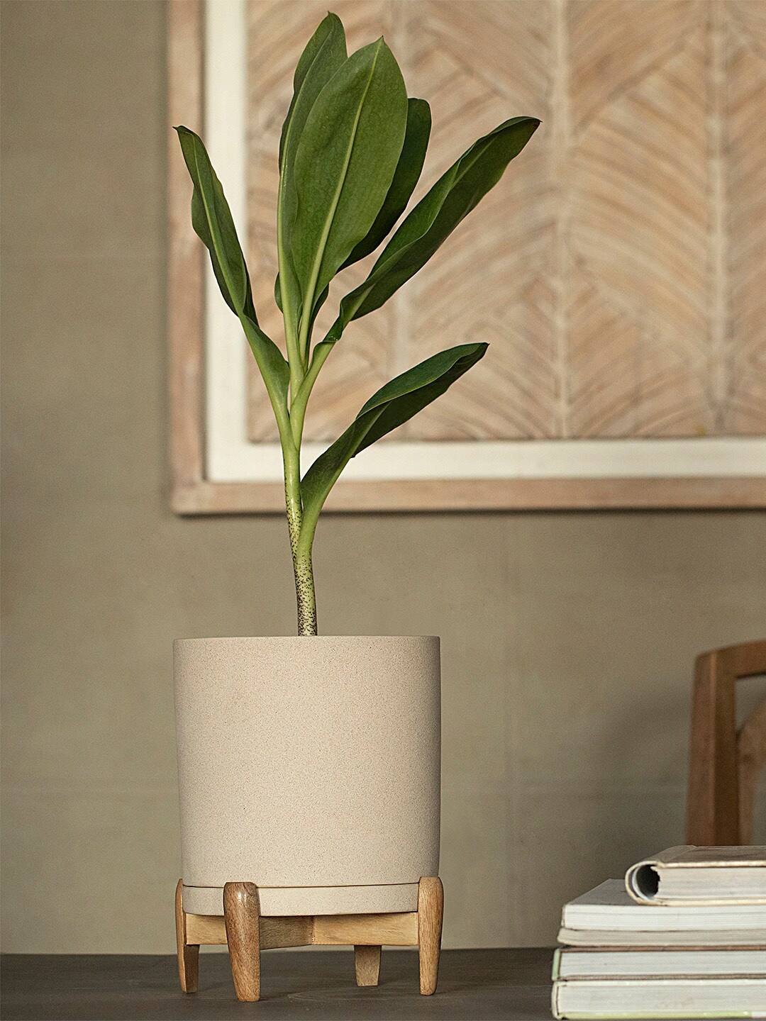 ellementry Cream-Coloured Textured Ceramic Planter With Wooden Stand