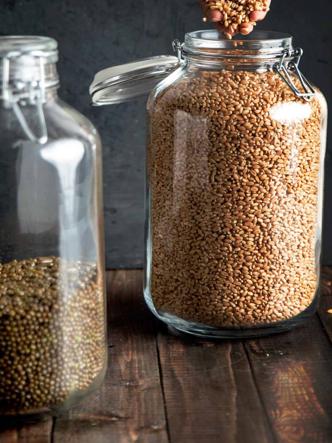 Bormioli Rocco Fido Transparent Glass 2 Piece Screw Top Canister-4L