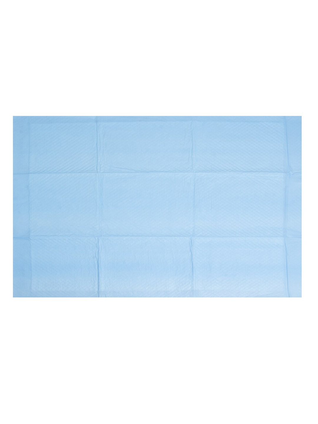 WIGGLE TWIDDLE Blue Pet Training Disposable Pad