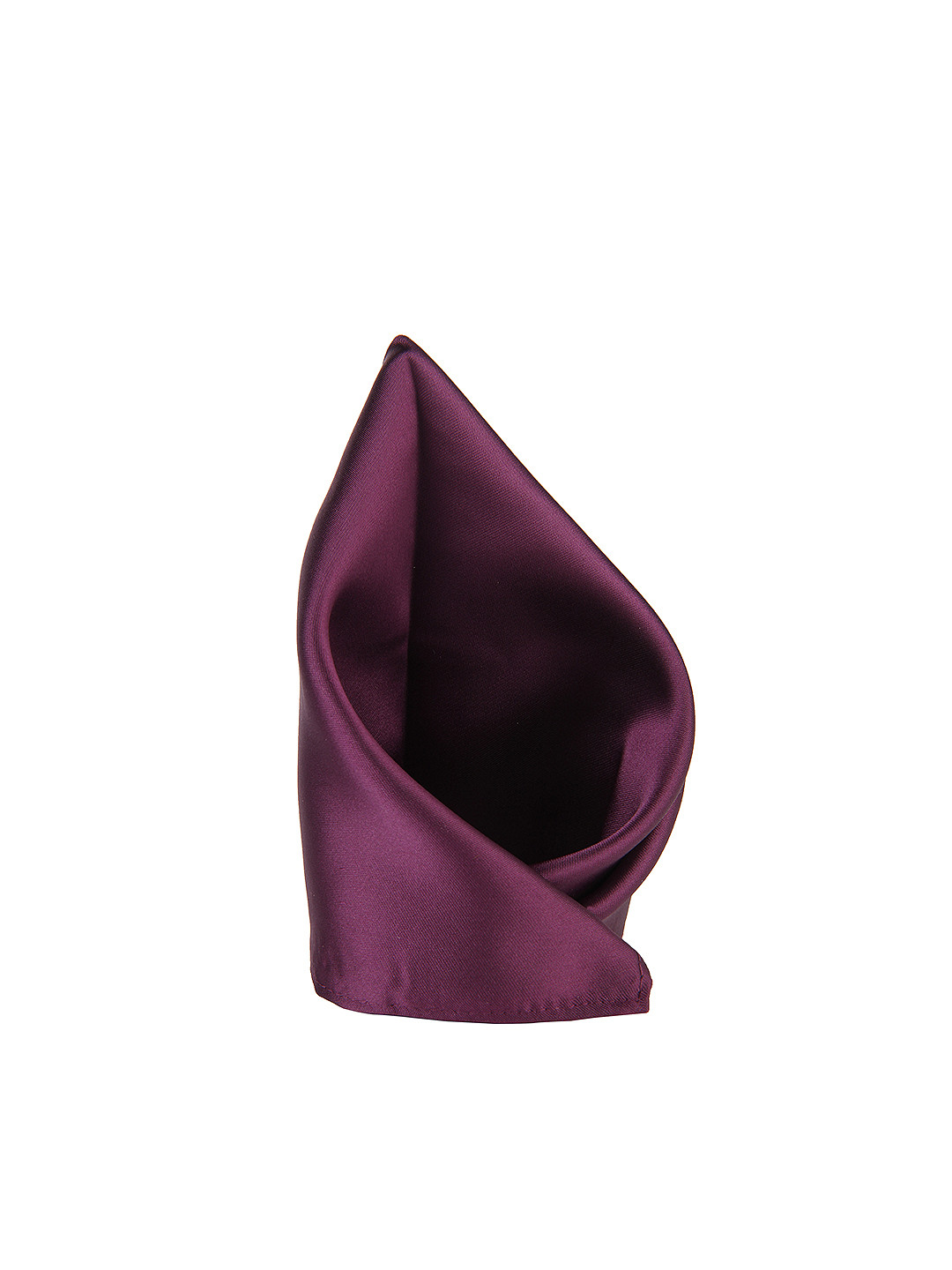 Alvaro Castagnino Men Purple Pocket Square