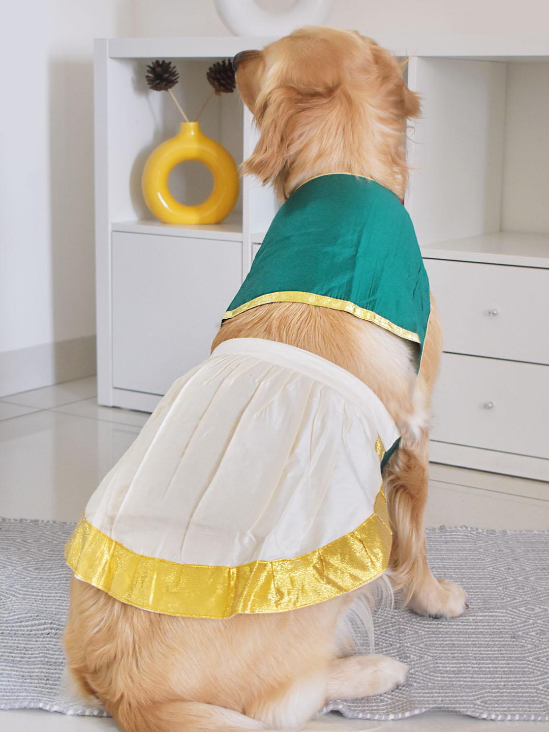 Buy VASTRAMAY Lehenga Choli Dog Dress - Dog Dresses for Unisex