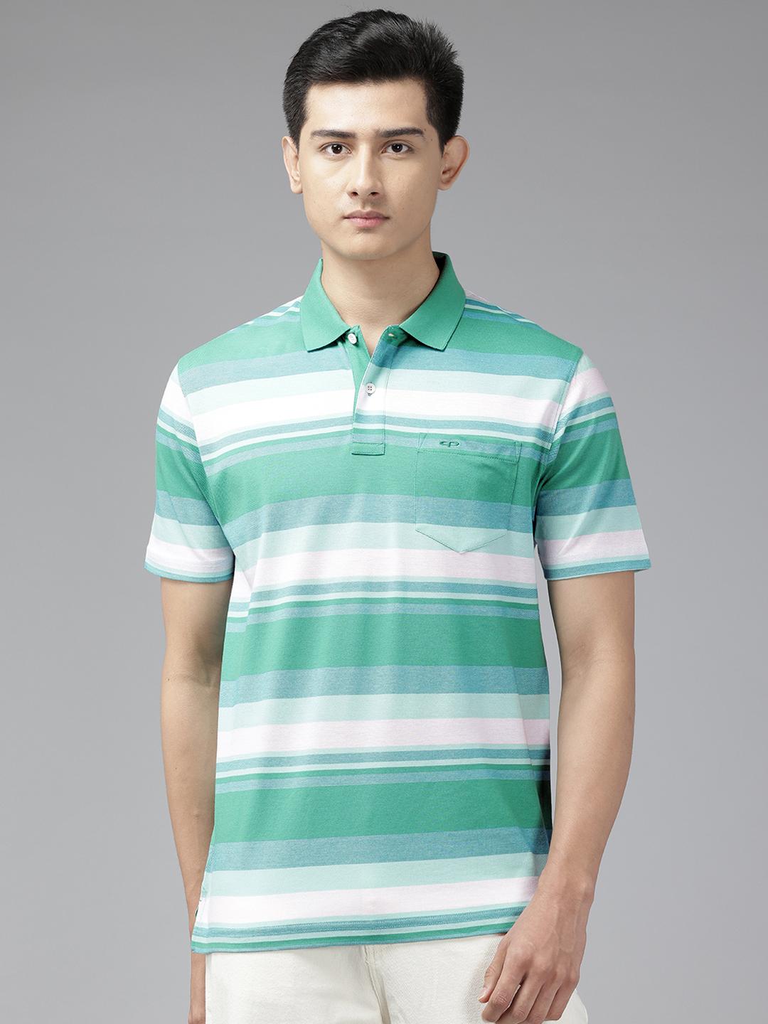 Buy ColorPlus Pure Cotton Striped Polo Collar Mercerized Comfort