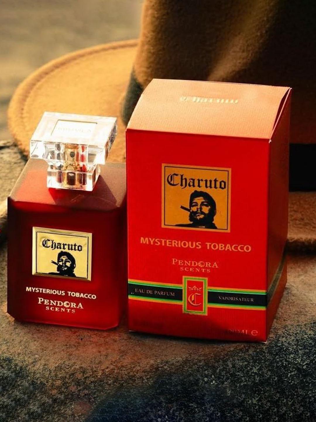 Buy Paris Corner Perfumes Charuto Mysterious Tobacco Long Lasting Eau De  Parfum - 100 ml - Perfume for Unisex 31932656
