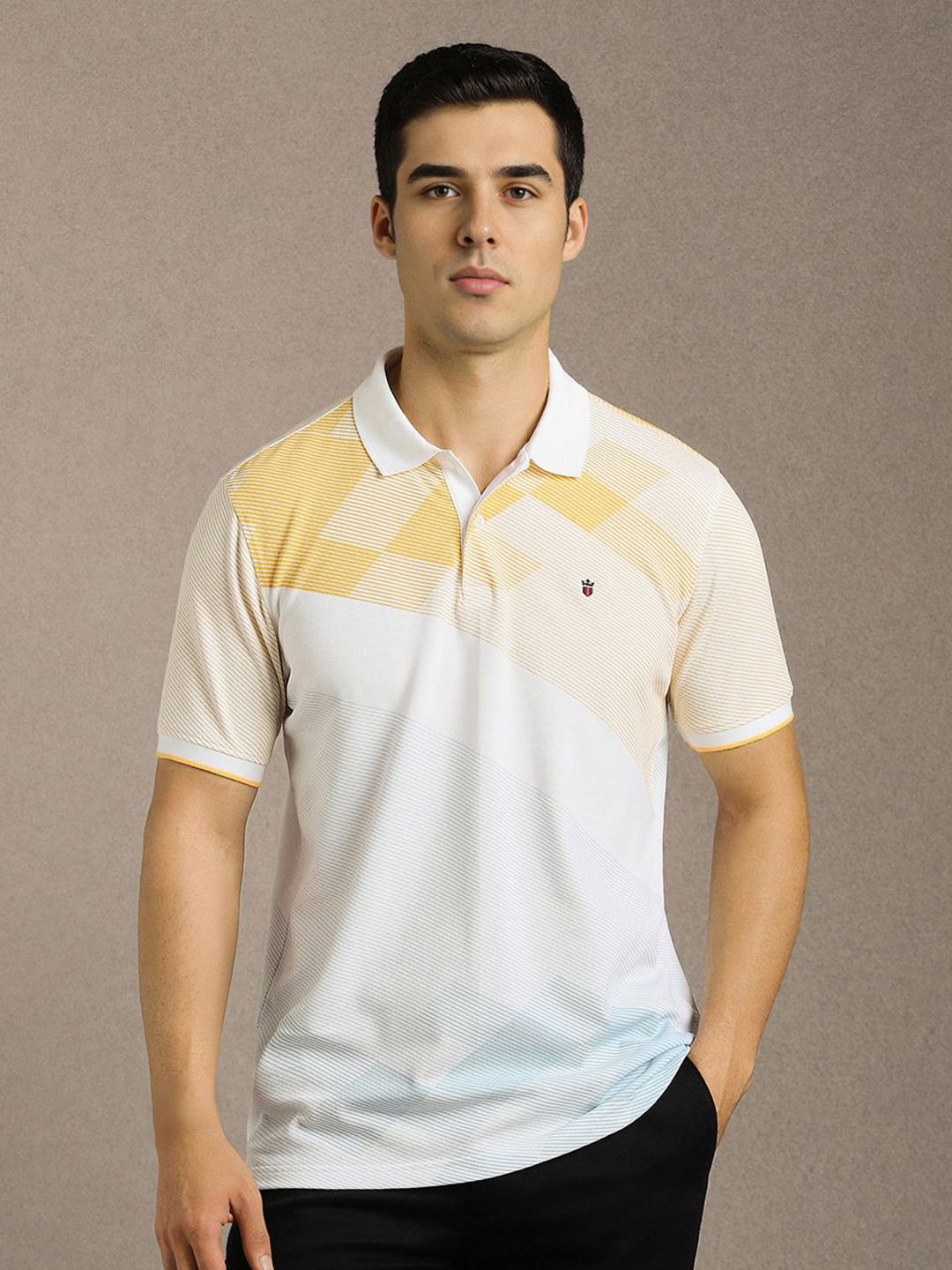Louis Philippe Sport Striped Polo Collar Slim Fit Pure Cotton T-shirt