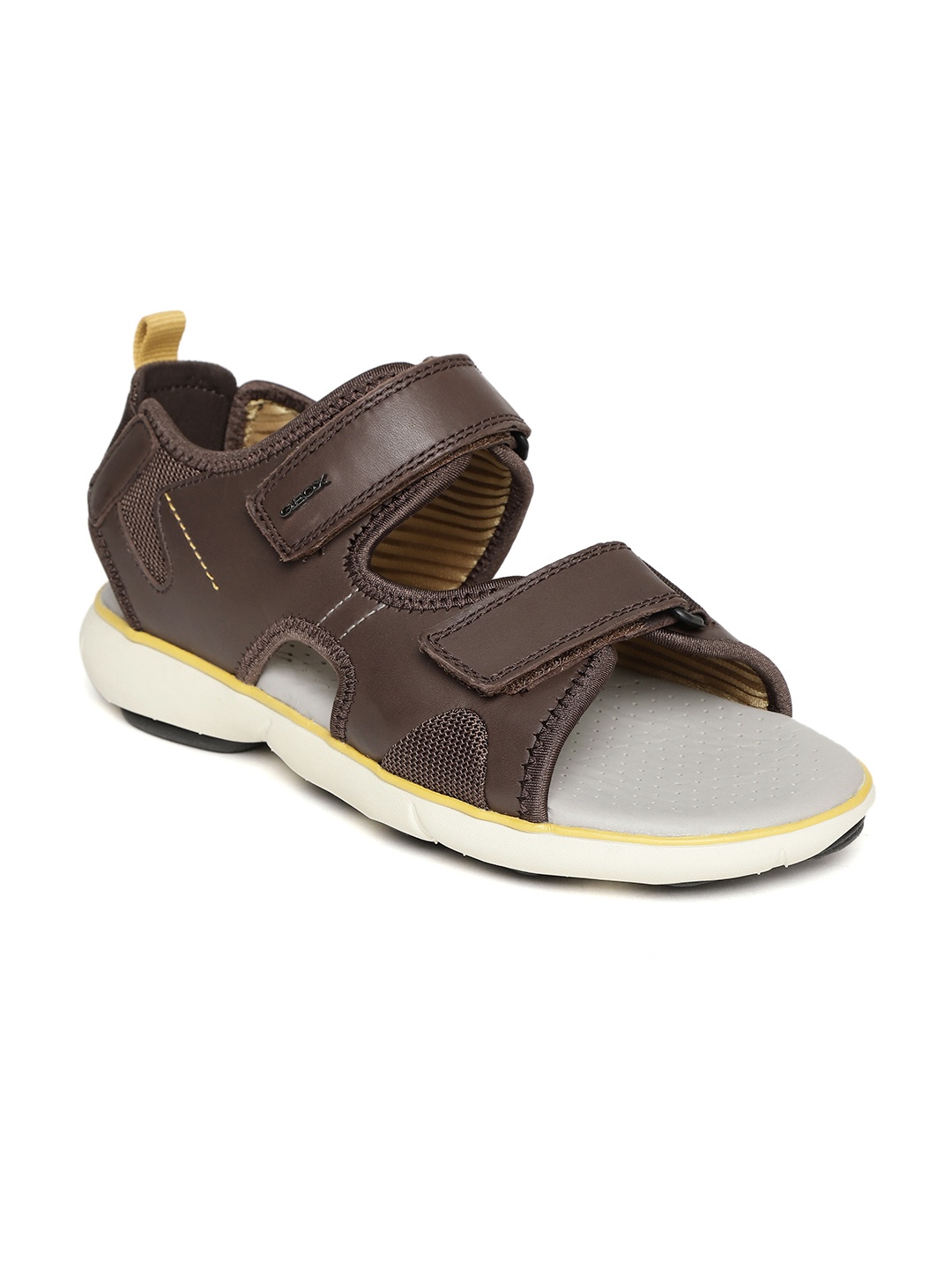 

Geox Men Coffee Brown Solid Leather Comfort Sandals