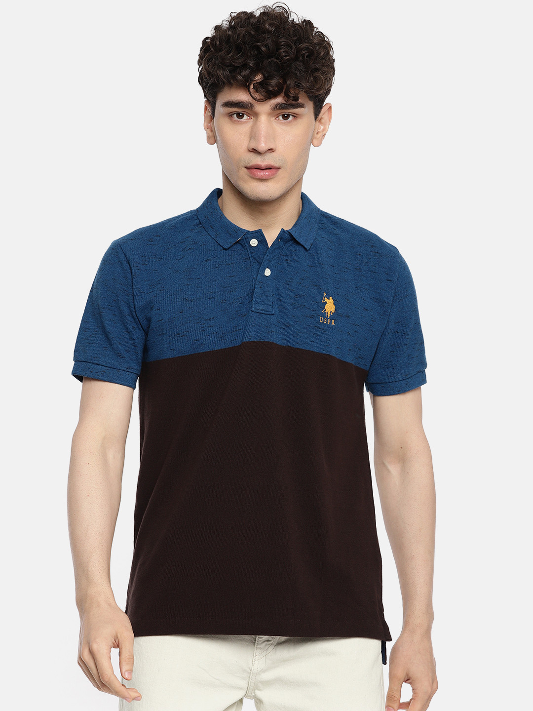 

U.S. Polo Assn. Men Brown Blue Colourblocked Polo Collar Pure Cotton T-shirt