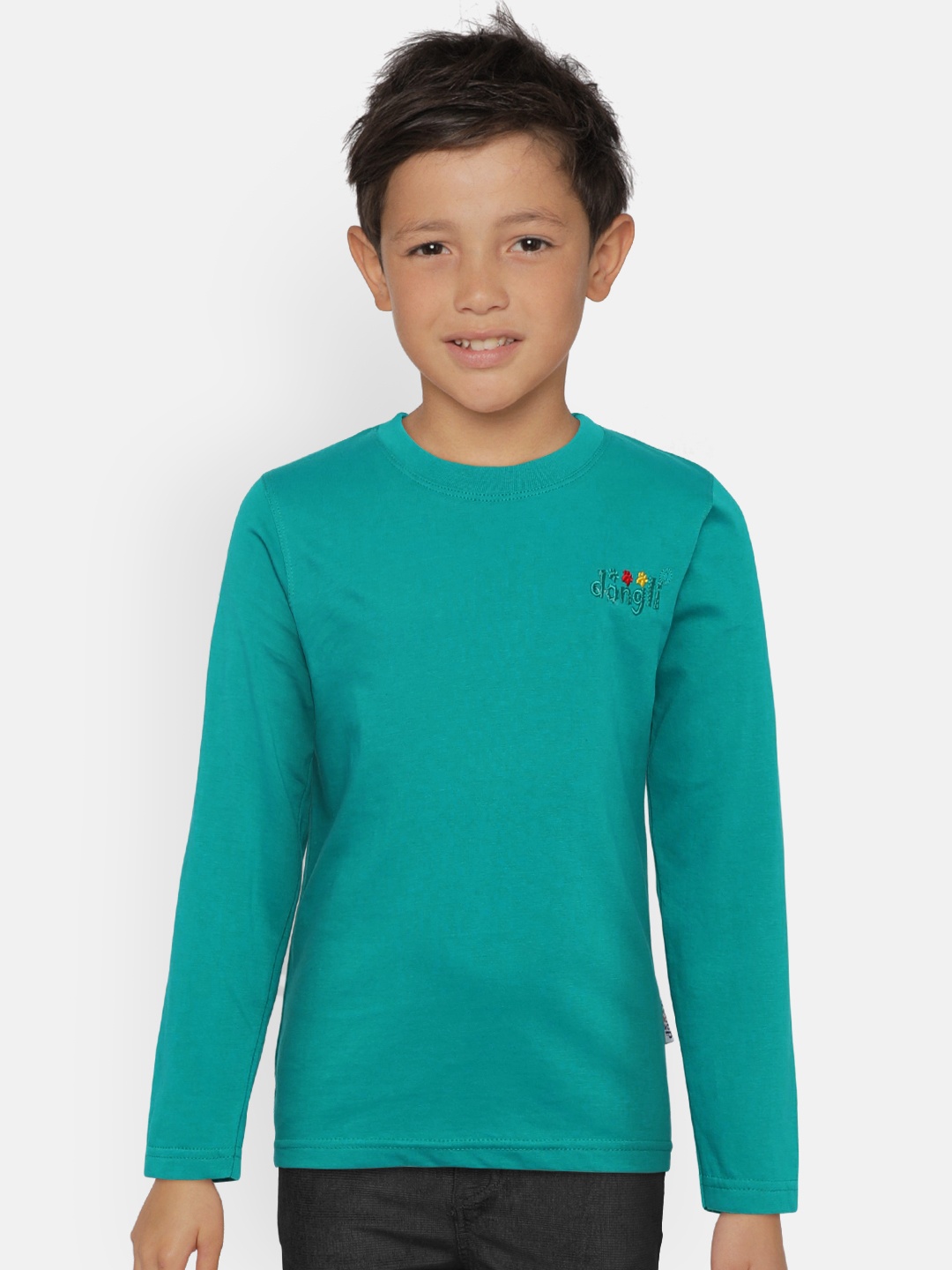 

dongli Boys Teal Blue Solid Round Neck T-shirt