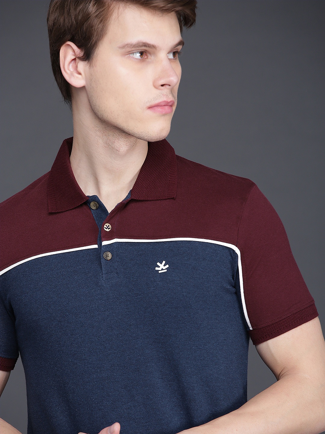 

WROGN Men Maroon Navy Blue Colourblocked Slim Fit Polo Collar Pure Cotton T-shirt