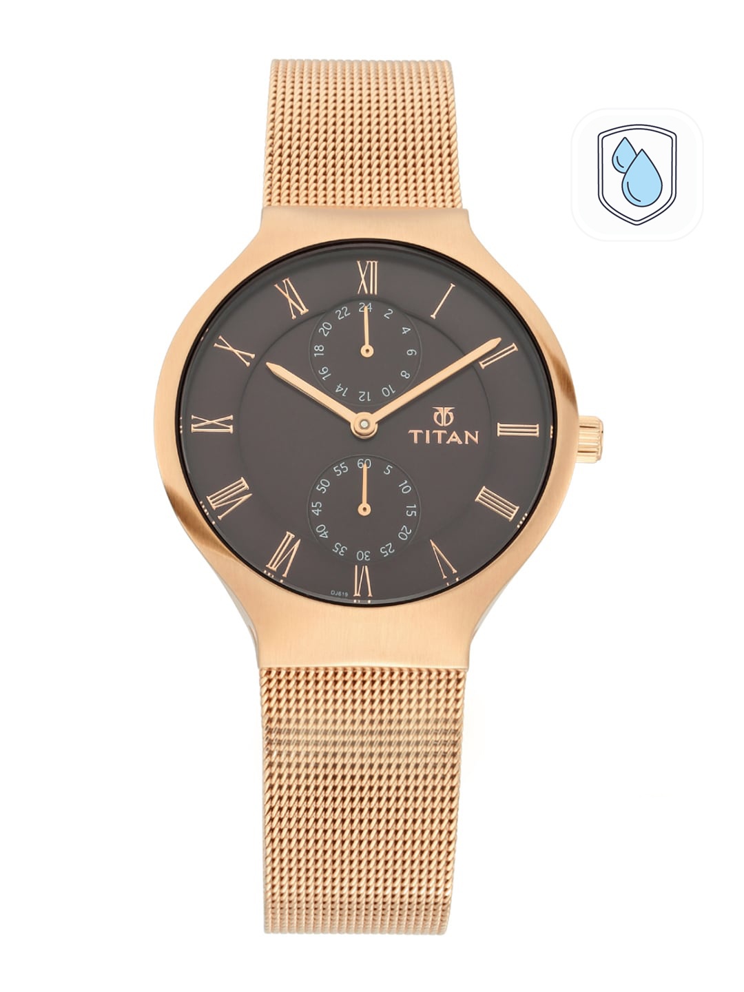 

Titan Slimline Women Brown Analogue watch 95068WM01
