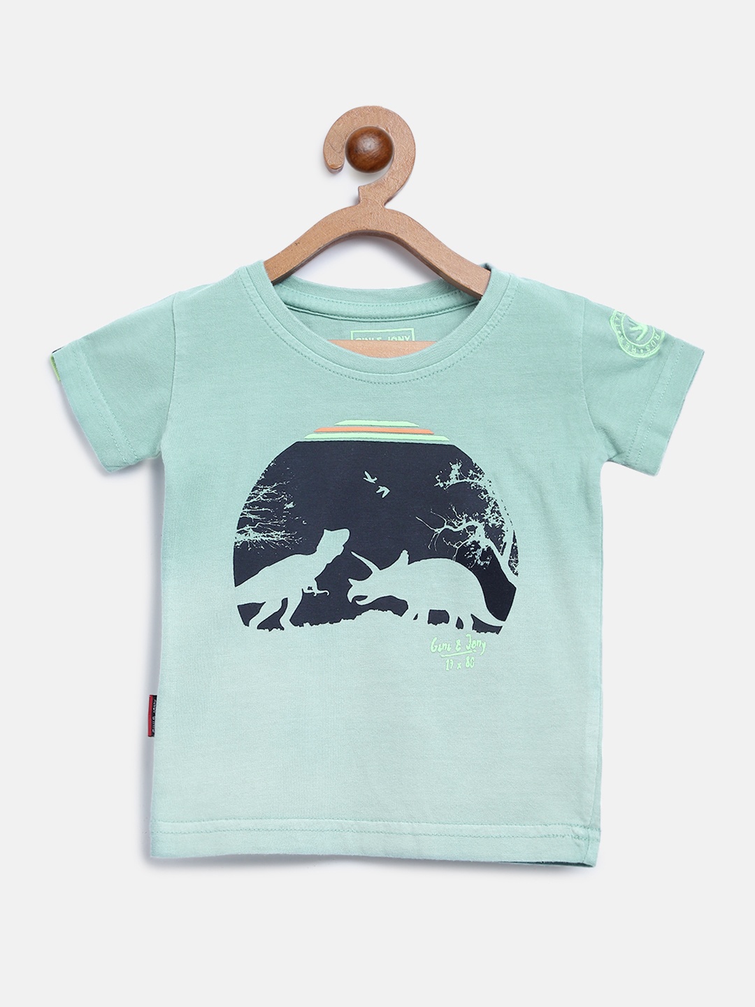 

Gini and Jony Boys Sea Green Printed Round Neck Pure Cotton T-shirt