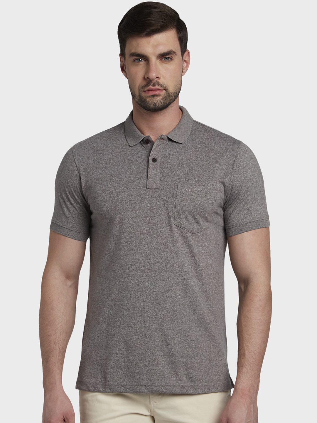 

ColorPlus Men Grey Solid Polo Collar T-shirt