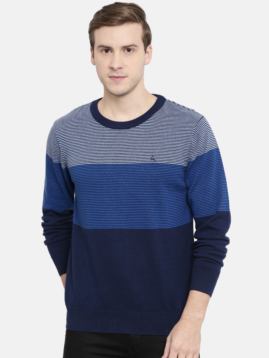 

Parx Men Blue Striped Sweater