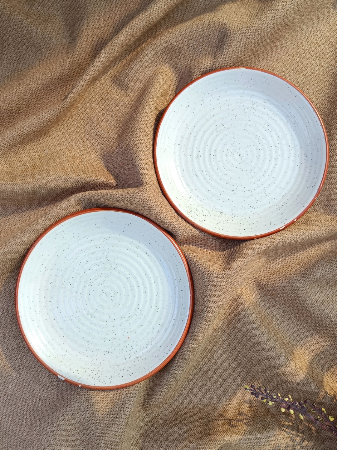 

VarEesha Set of 4 White Solid Ceramic Plates