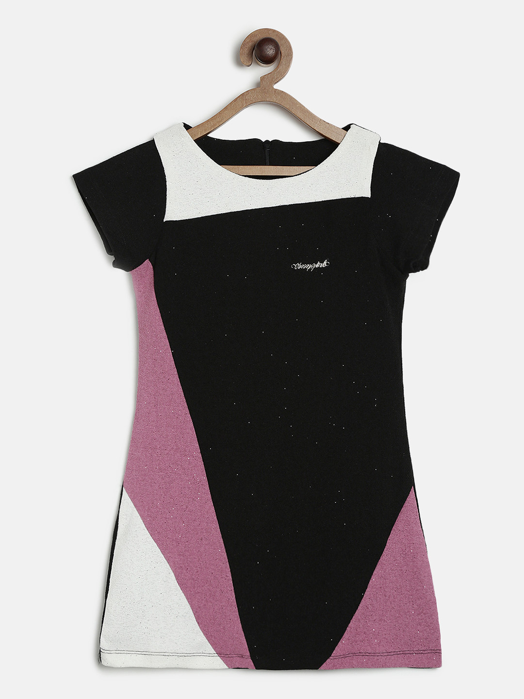 

Tiny Girl Black & Pink Colourblocked A-Line Dress