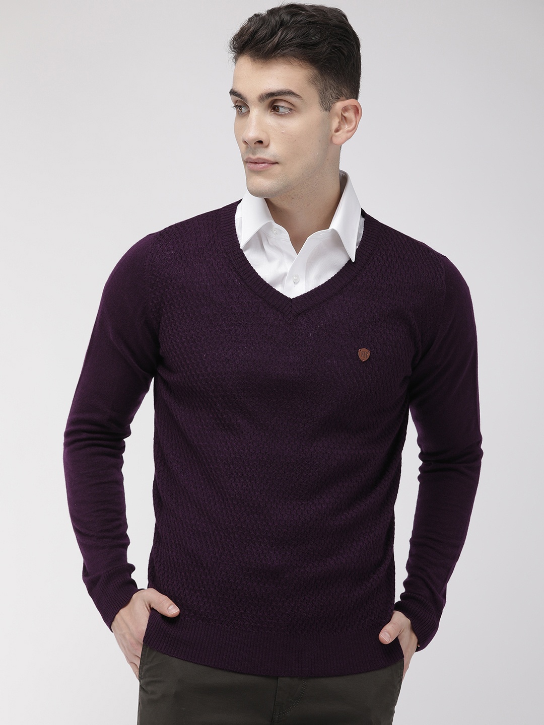 

Raymond Men Violet Self Design Pullover Sweater