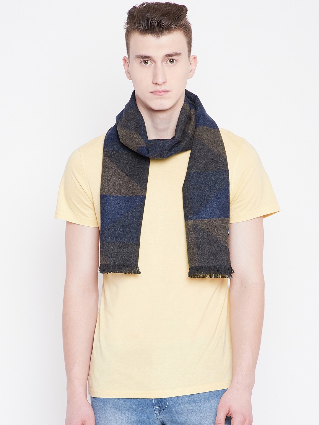

Alvaro Castagnino Men Blue & Brown Printed Mufflers