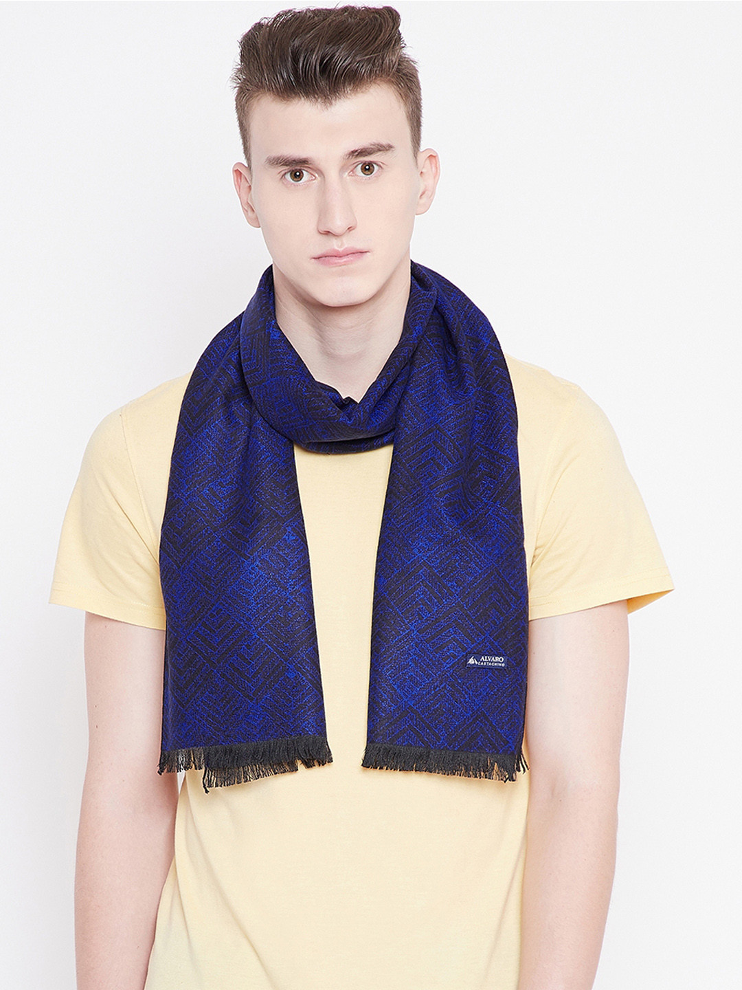 

Alvaro Castagnino Men Blue & Black Checked Mufflers