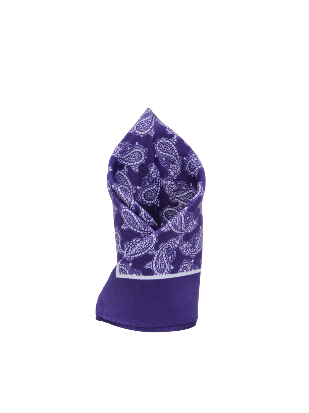 

Alvaro Castagnino Blue Paisley Print Pocket Square