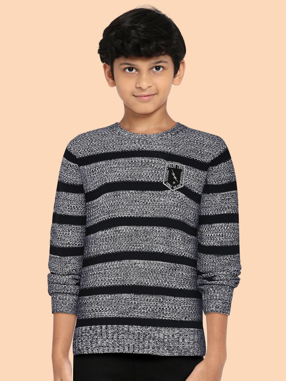 

Palm Tree Boys Black & White Striped Pullover Sweater